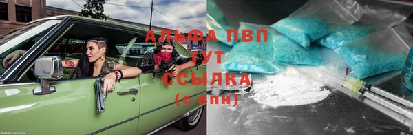 ГАЛЛЮЦИНОГЕННЫЕ ГРИБЫ Нефтекумск