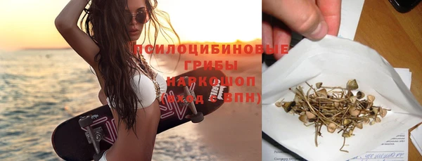 сатива Нея