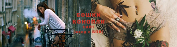 сатива Нея