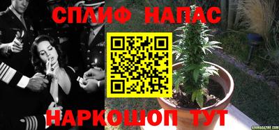 mdma Дубна