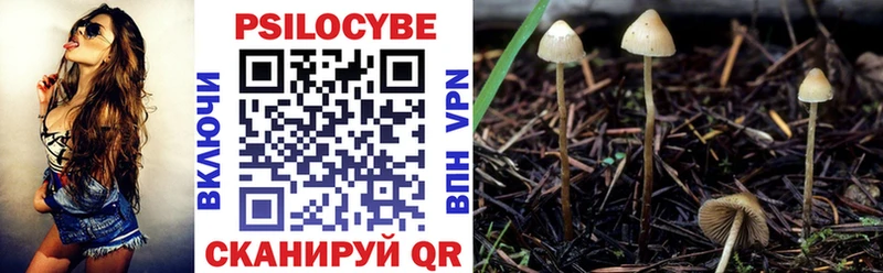 Галлюциногенные грибы прущие грибы  Мирный 