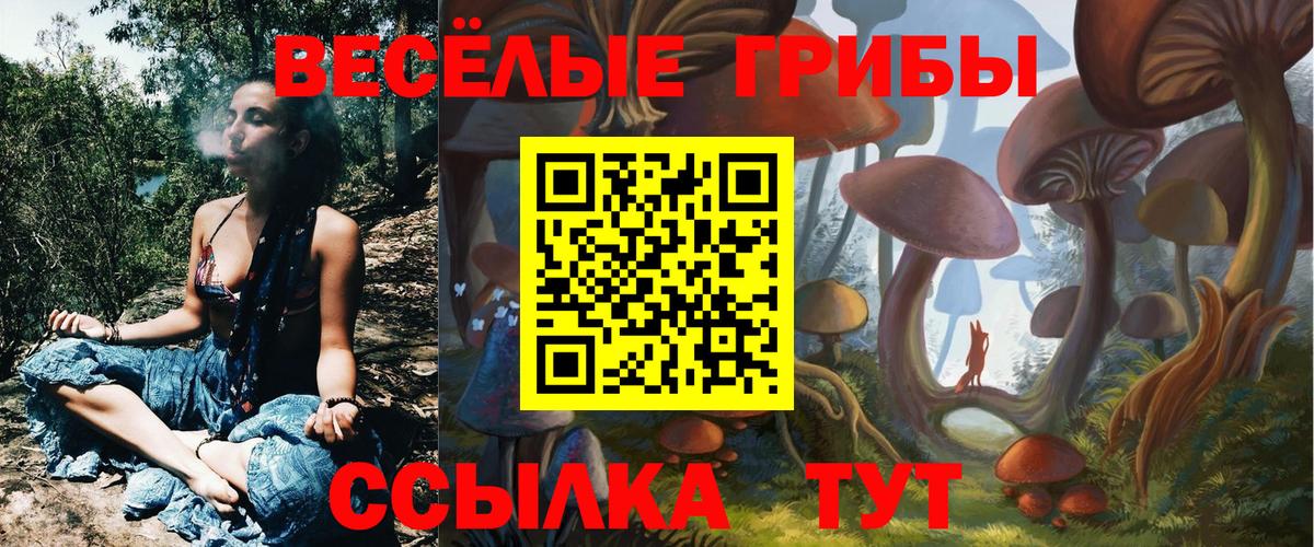 Галлюциногенные грибы MAGIC MUSHROOMS Мирный