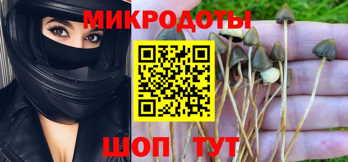 Галлюциногенные грибы Psilocybe  Псилоцибиновые грибы Psilocybe  Вход с VPN  Мирный 